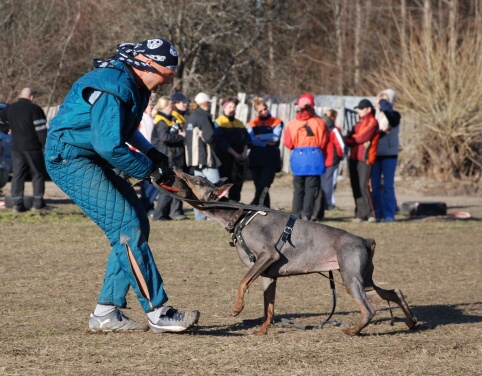 Training in Estonia 30.3 - 1.4. 2007